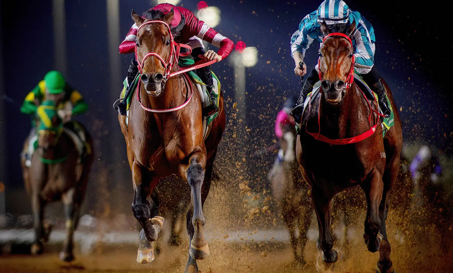 stamox-vet-endurance-natural-speed