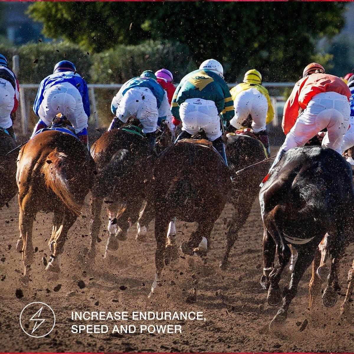 Why StamoxVet Makes Sense for Racehorses By Dr. Nils P. Reither