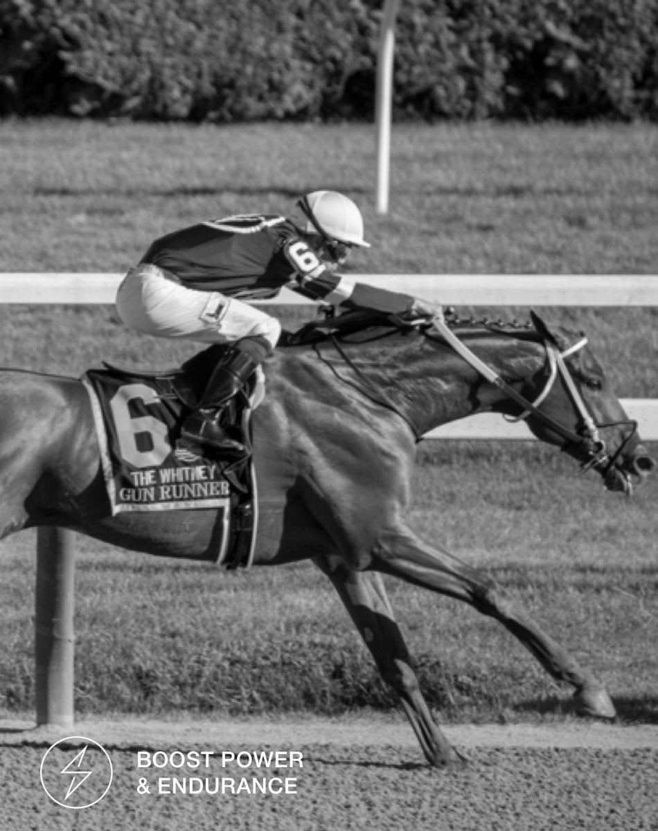 StamoxVet 400 gram - StamoxVet