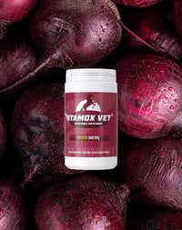 StamoxVet 400 gram - StamoxVet