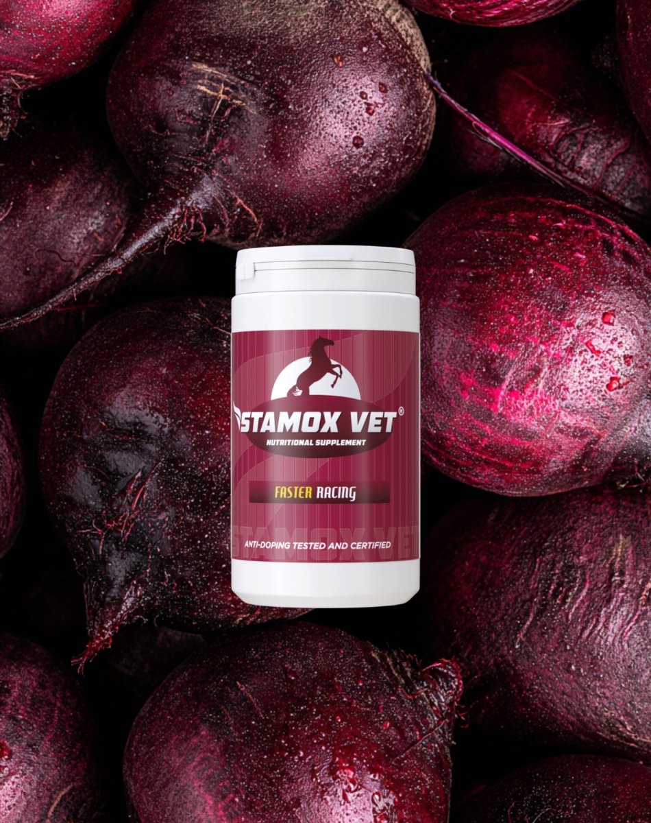 StamoxVet 400 gram - StamoxVet