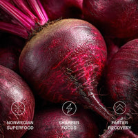 StamoxVet Pigeon Speed & Endurance 200g - StamoxVet